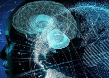 الاستبداد الرقمي والديموقراطية الليبرالية