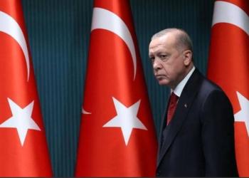 الديب: التقارب التركي – المصري تكتيكي لا استراتيجي