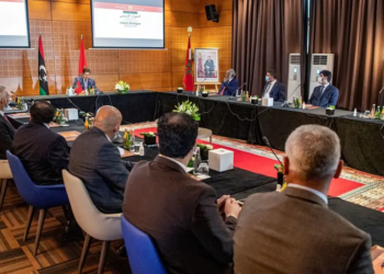 مصر تدفع بإتجاه حل الأزمة الليبية دون إملاءات خارجية