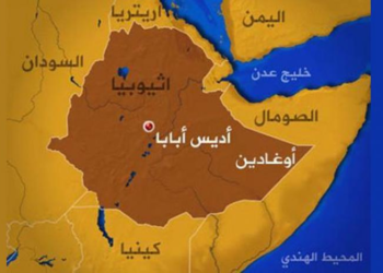 القرن الأفريقي.. عمق إستراتيجي بديل لتركيا