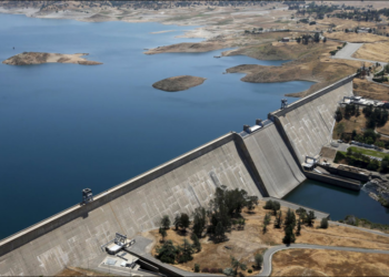 سد النهضة في مجلس الأمن… الآمال والمآل – البروفيسور أيمن سلامة