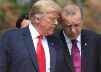 ترامب وأردوغان ينسقان لمرحلة جديدة في ليبيا