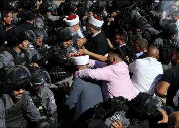 صورة. رويترز