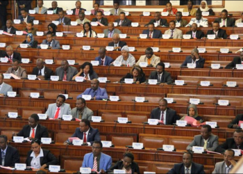 البرلمان الأثيوبي. صورة. الأناضول