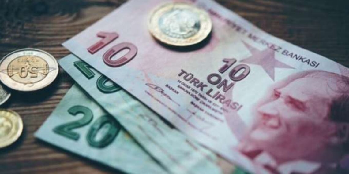 الليرة التركية.صورة.العربية نت