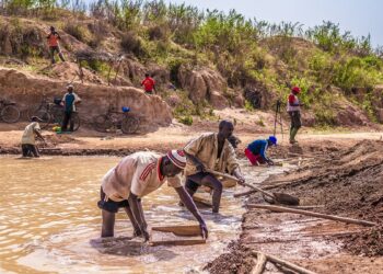 صورة.رويترز