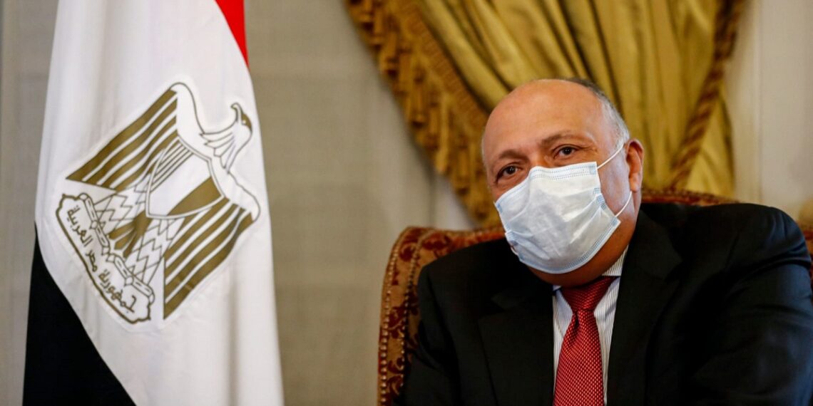 وزير الخارجية المصري سامح شكري.صورة.أرشيف رياليست