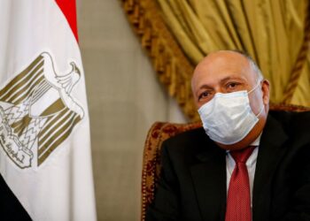 وزير الخارجية المصري سامح شكري.صورة.أرشيف رياليست