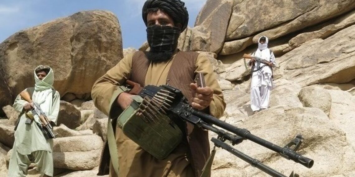 حركة طالبان.صورة.العربية نت