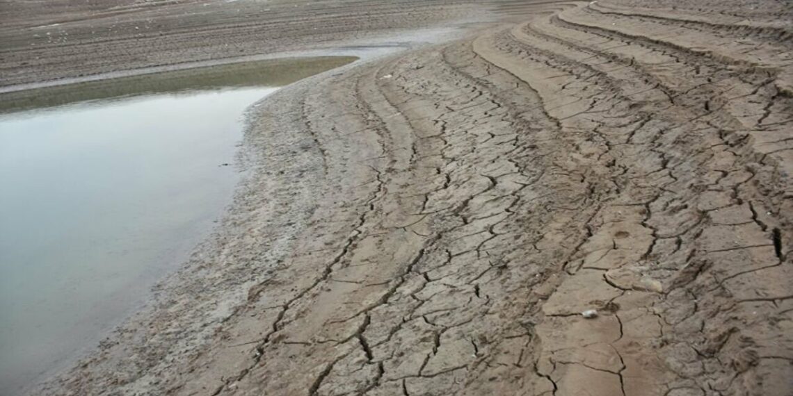 صورة.سبوتنيك