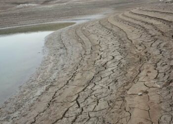 صورة.سبوتنيك