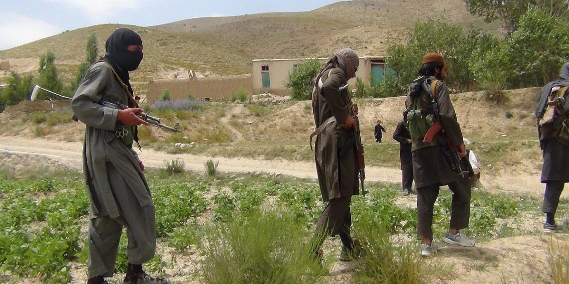 طالبان.صورة.AFP