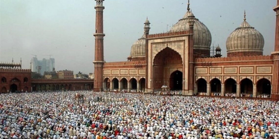 صورة.الجزيرة