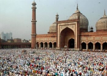 صورة.الجزيرة