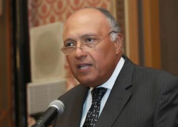 وزير الخارجية المصري، سامح شكري.صورة.سبوتنيك