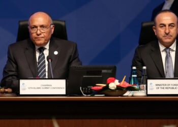 وزير الخارجية المصري، سامح شكري، ونظيره التركي، مولود جاويش أوغلو.صورة.AFP