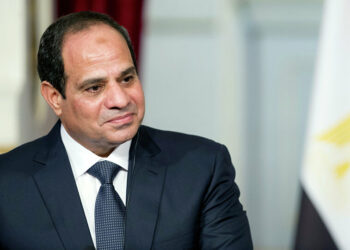 الرئيس المصري، عبد الفتاح السيسي.صورة.سبوتنيك