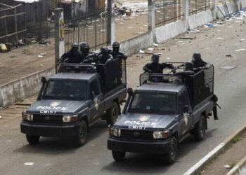 القوات الغينية.صورة.فرانس 24