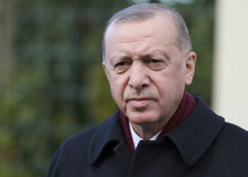 الرئيس التركي رجب طيب أردوغان.صورة.سبوتنيك