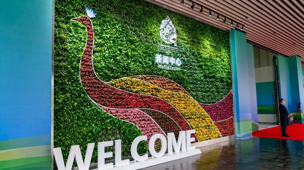 صورة.وكالة شينخوا