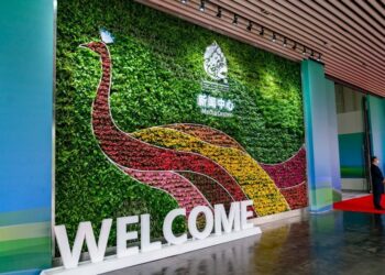 صورة.وكالة شينخوا