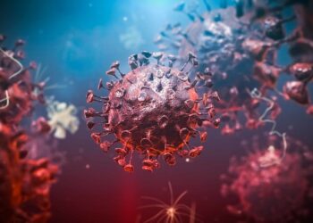 صورة.العربية نت