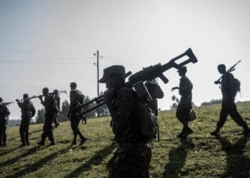 صورة.الجزيرة