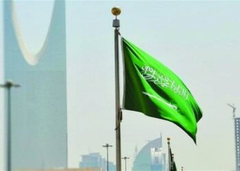 صورة.العربية نت