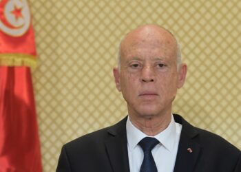 الرئيس التونسي، قيس سعيد.صورة.سبوتنيك