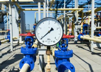 صورة.سبوتنيك