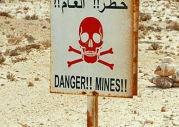 صورة.موقع الوفد