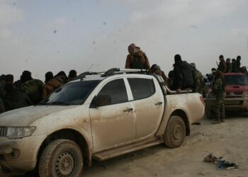 الميليشيات المسلحة في الشمال السوري.صورة.سبوتنيك