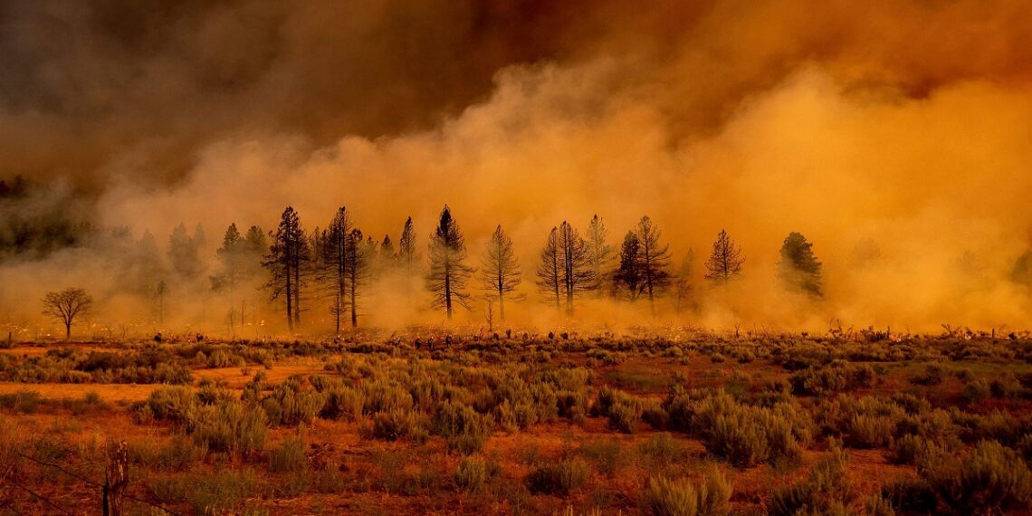 حرائق كاليفورنيا.صورة.تويتر