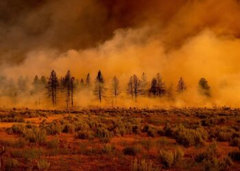 حرائق كاليفورنيا.صورة.تويتر