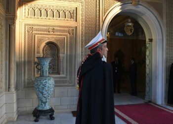 قصر قرطاج.صورة.سبوتنيك