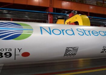 صورة.سبوتنيك