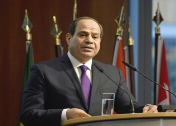 الرئيس المصري، عبد الفتاح السيسي.صورة.فرانس 24