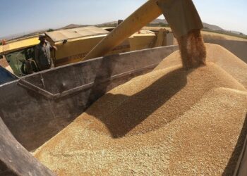 صورة.سبوتنيك