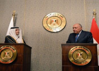 وزير الخارجية المصري، سامح شكري، ونظيره القطري، محمد بن عبد الرحمن آل ثاني.صورة.رياليست