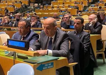 سفير مصر الدائم لدى الأمم المتحدة، أسامة عبد الخالق.صوة.الخارجية المصرية