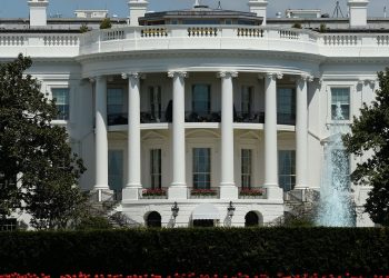 صورة.الميادين