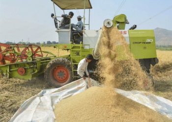 صورة.بلومبرغ