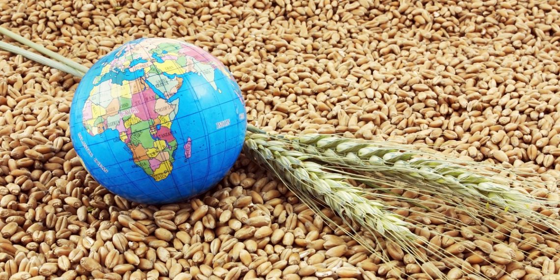 صورة.العين الإماراتية