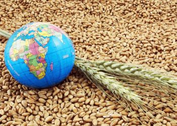 صورة.العين الإماراتية