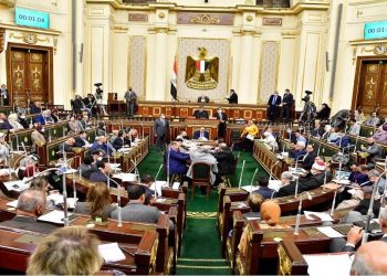 البرلمان المصري.صورة.رياليست