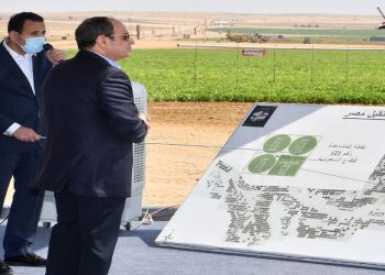 الرئيس المصري، عبدالفتاح السيسي.صورة.رياليست