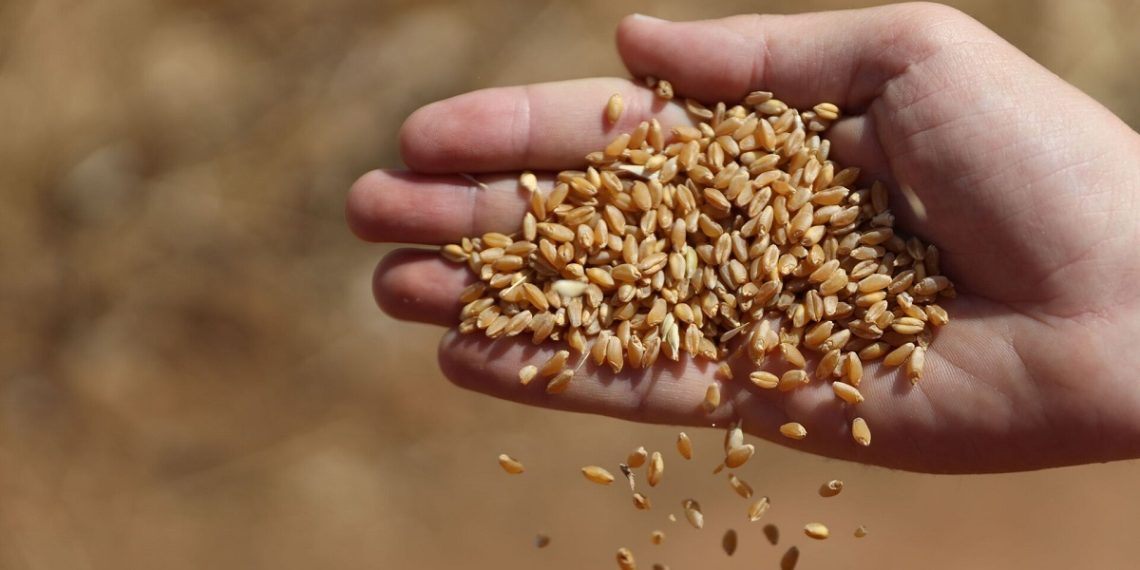 صورة.سبوتنيك