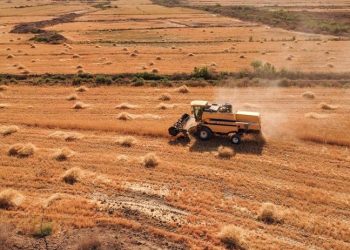 صورة.بلومبرغ