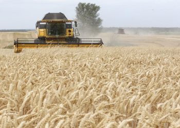 صورة.إندبندنت عربية