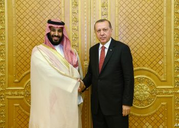 ولي العهد السعودي والرئيس التركي. صورة . الحرة